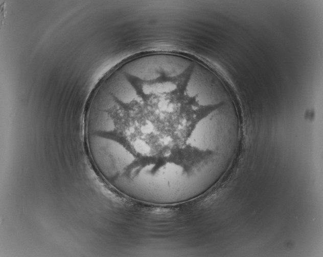 X0000112150839200908281338