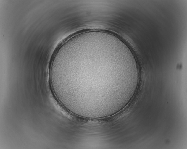 X0000112150840200908281338