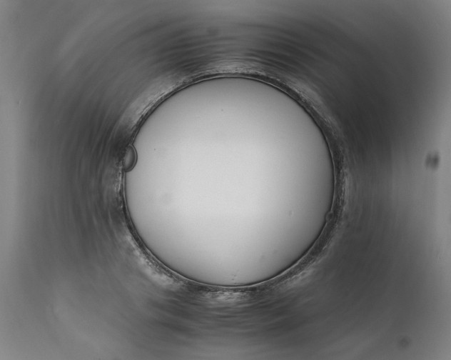 X0000112150841200908281338
