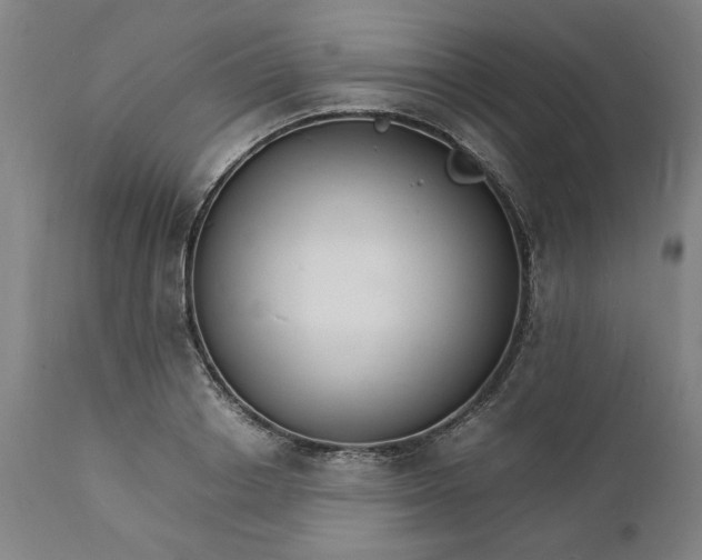 X0000112150842200908281338