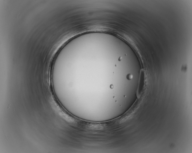 X0000112150843200908281338