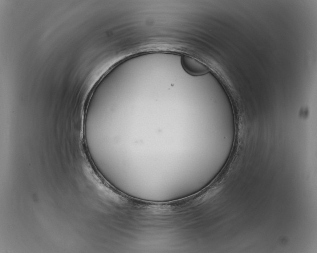 X0000112150844200908281338