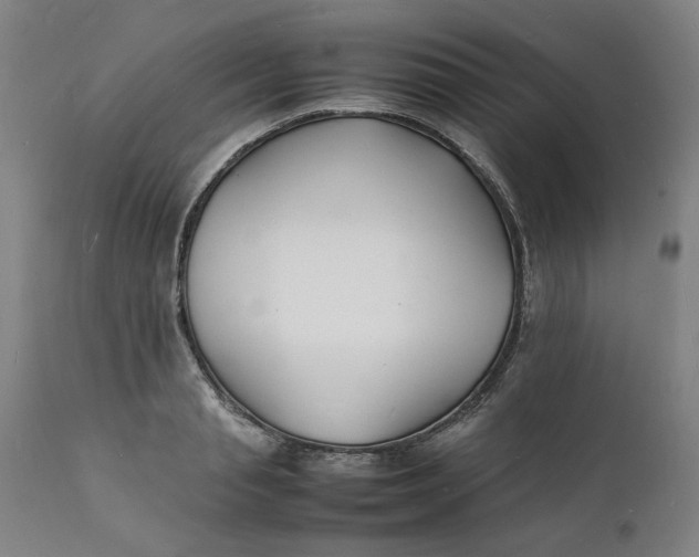 X0000112150845200908281338