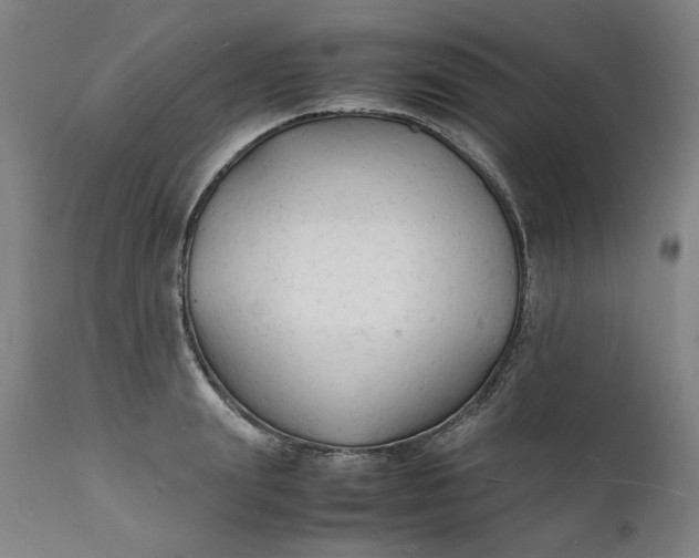X0000112150847200908281338