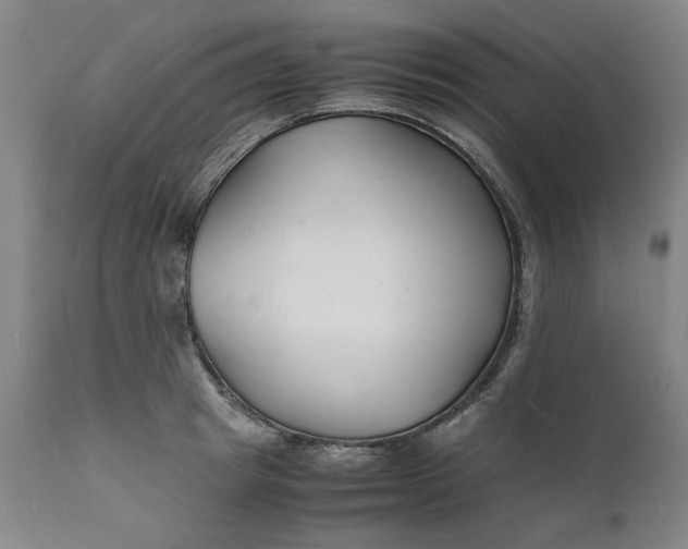 X0000112150849200908281338