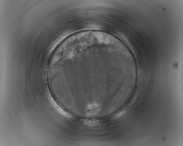 X0000112150851200908281338