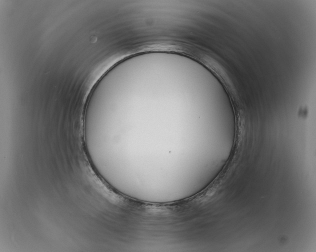 X0000112150852200908281338
