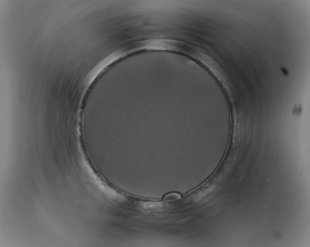 X0000112150853200908281338