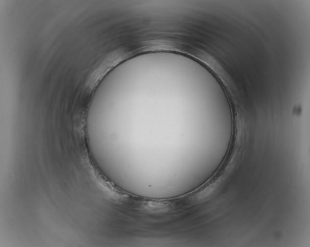 X0000112150857200908281338