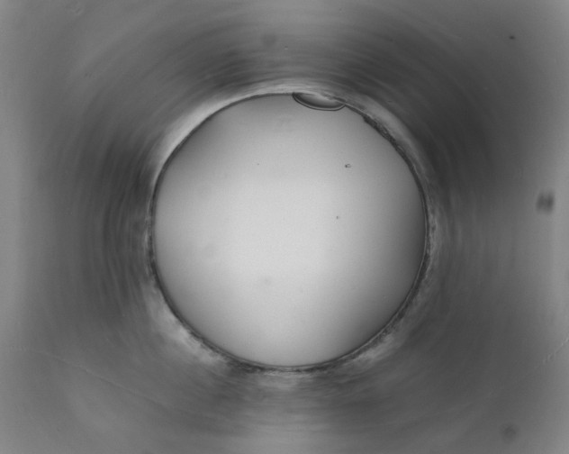 X0000112150860200908281338