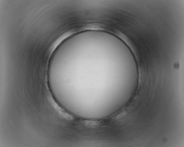 X0000112150861200908281338