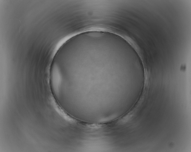 X0000112150862200908281338