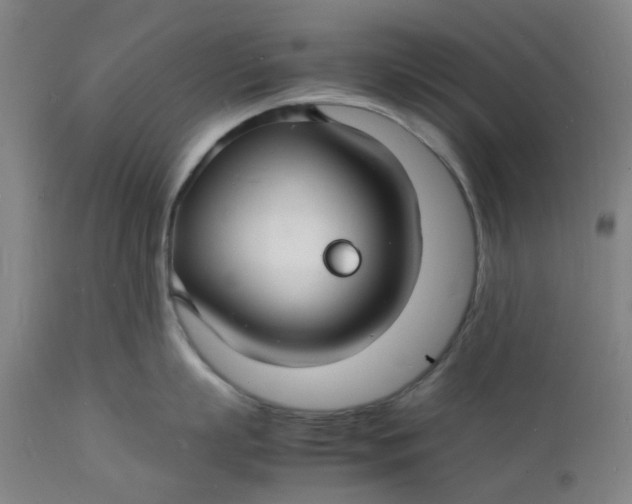 X0000112150863200908281338