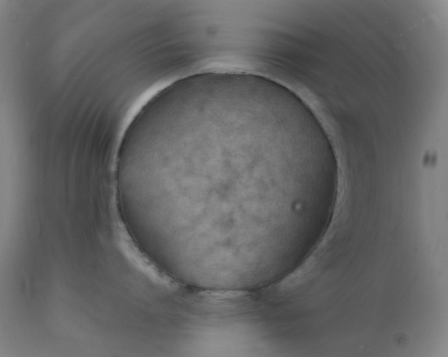 X0000112150864200908281338