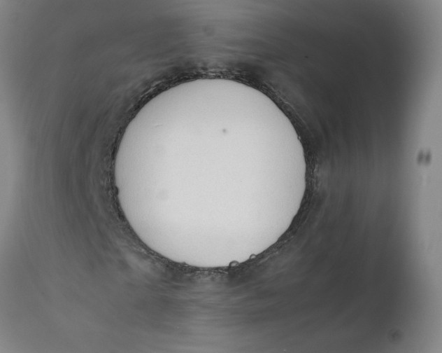 X0000112150865200908281338
