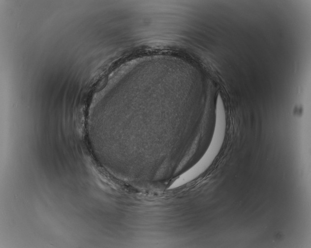 X0000112150868200908281338