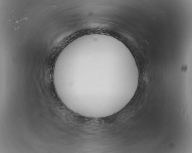 X0000112150869200908281338