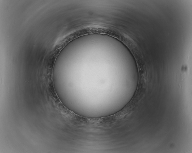 X0000112150870200908281337