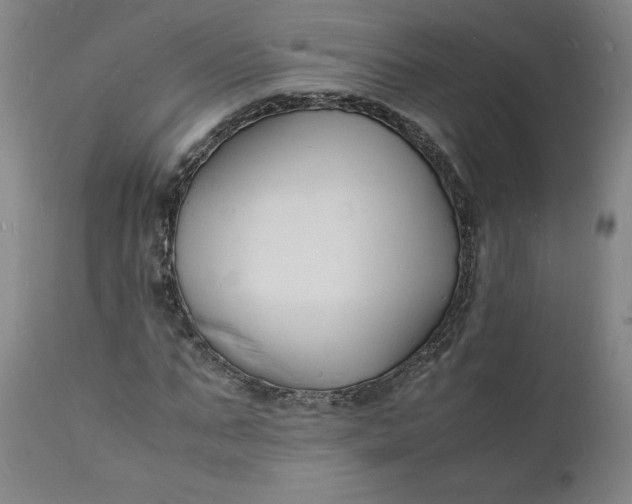 X0000112150871200908281337