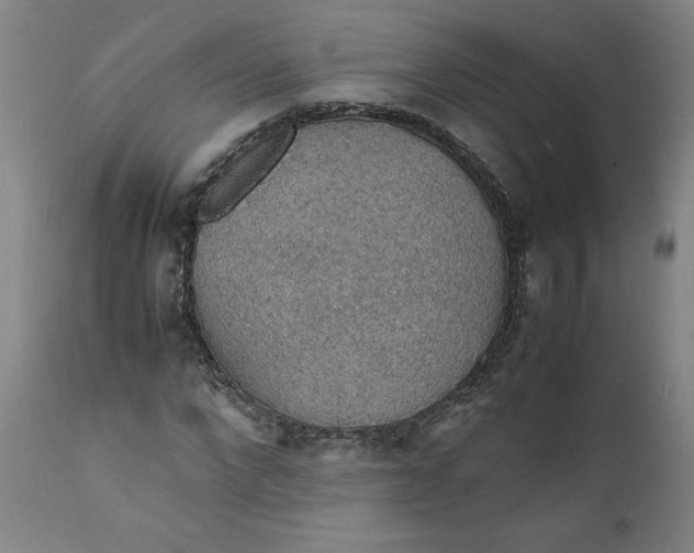 X0000112150872200908281337