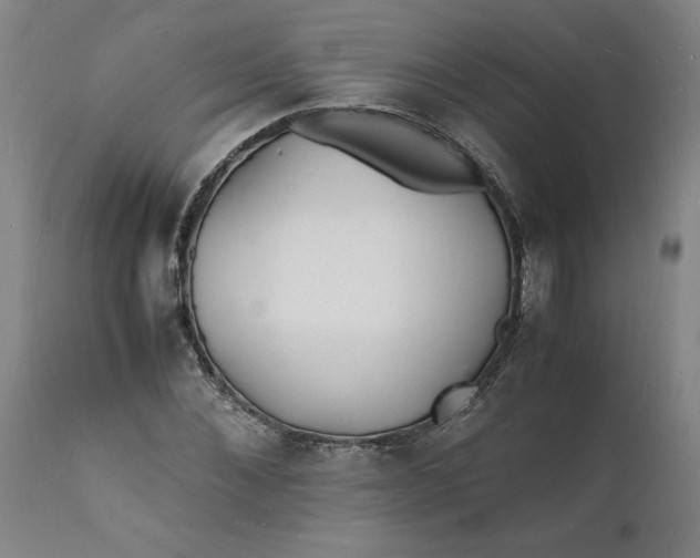 X0000112150876200908281337