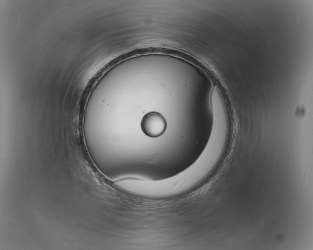 X0000112150877200908281337