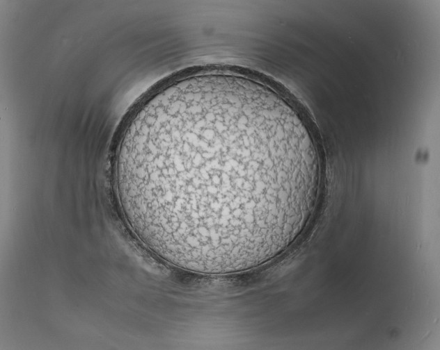 X0000112150879200908281337
