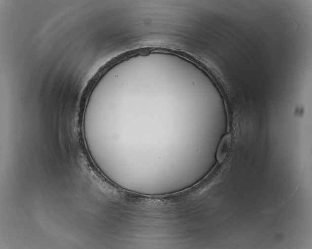 X0000112150880200908281337