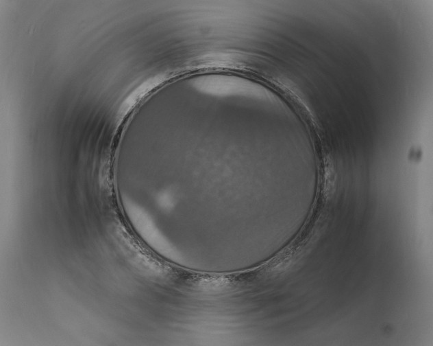 X0000112150882200908281337