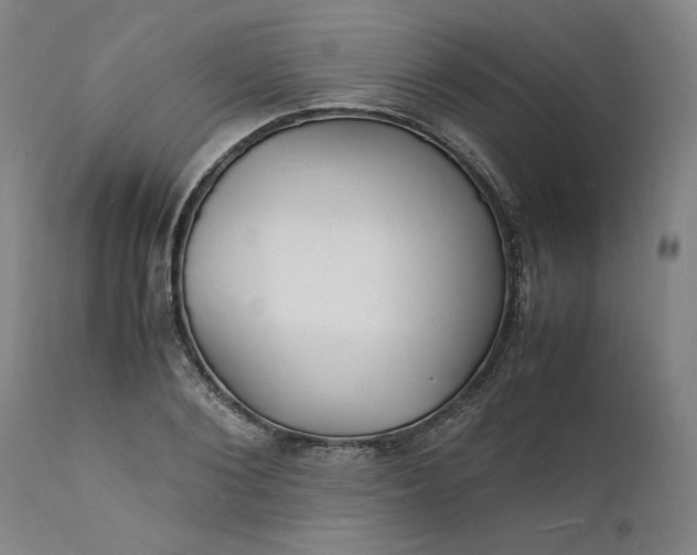 X0000112150884200908281337