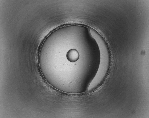 X0000112150885200908281337