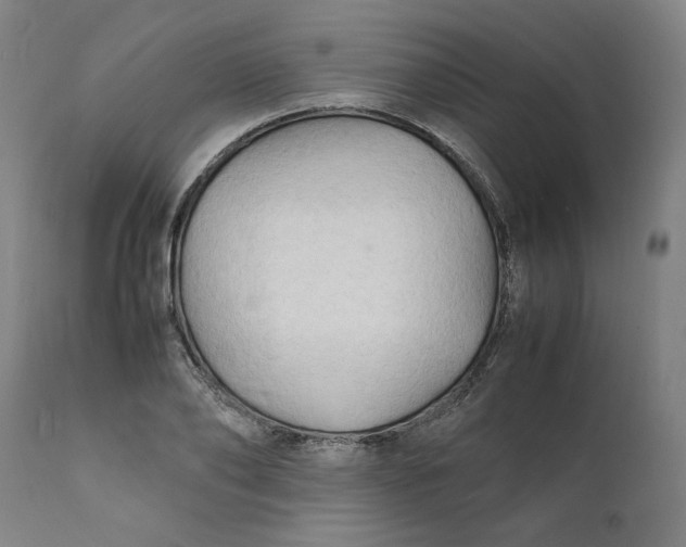 X0000112150886200908281337