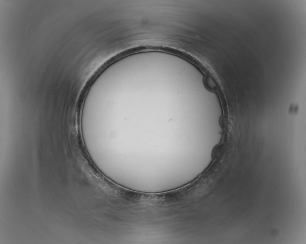 X0000112150887200908281337