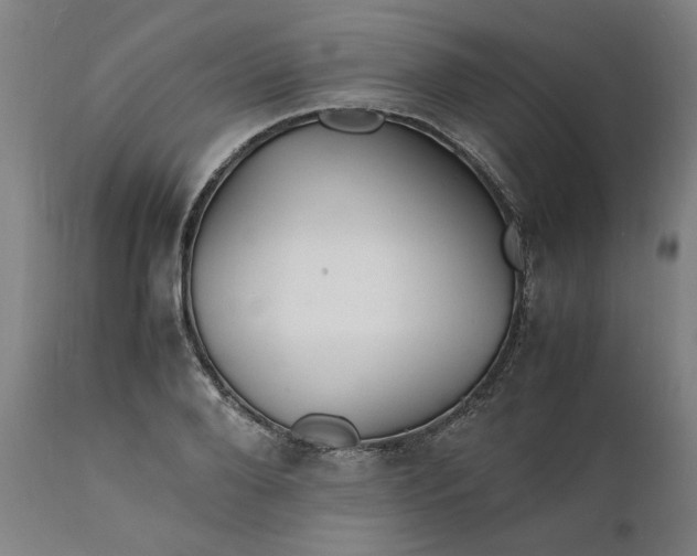 X0000112150888200908281337