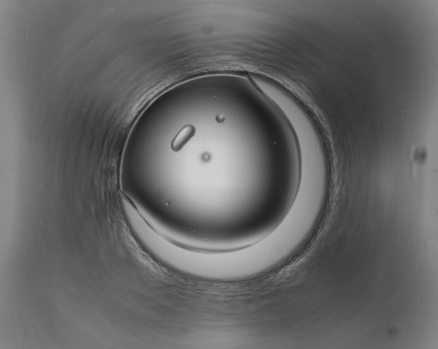 X0000112150889200908281337