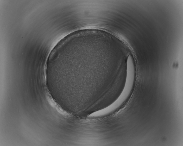 X0000112150892200908281337