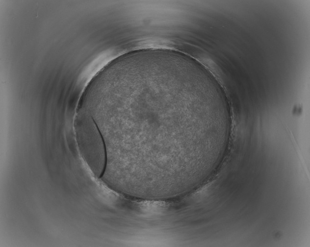 X0000112150893200908281337