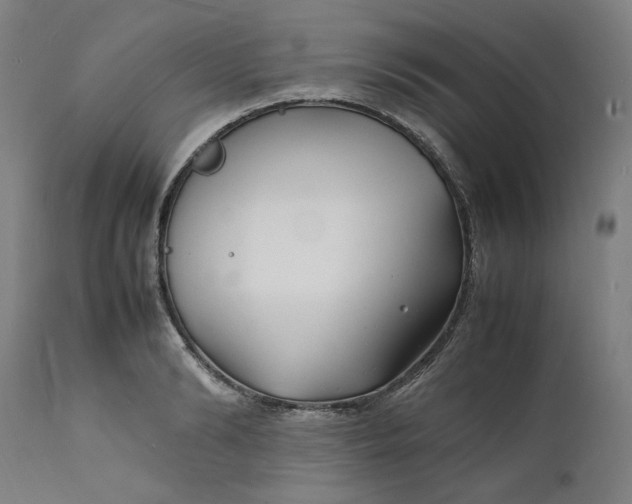 X0000112150894200908281337