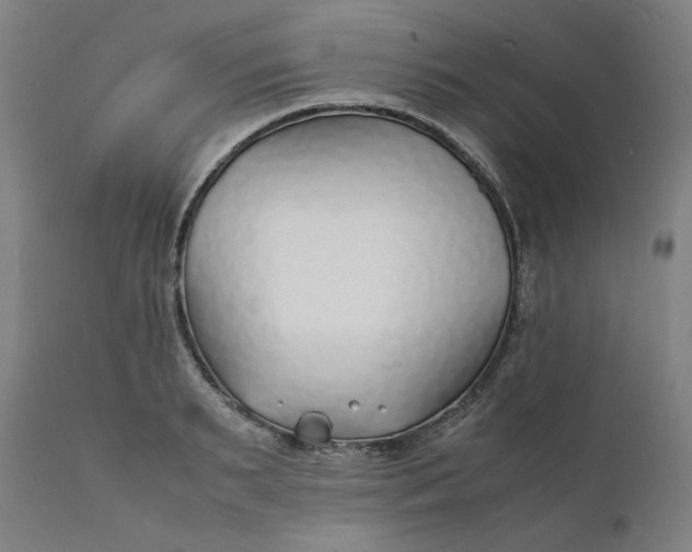 X0000112150895200908281337