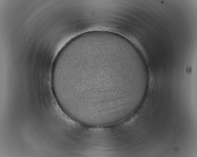 X0000112150896200908281337