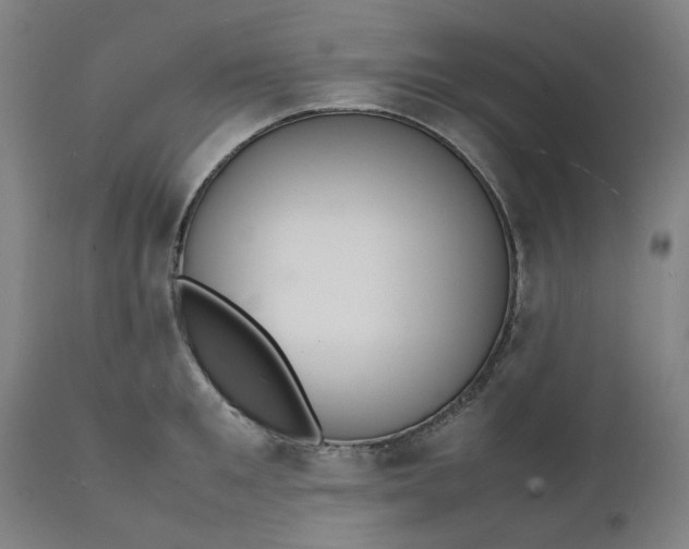 X0000112150901200908281337