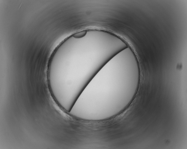 X0000112150902200908281337