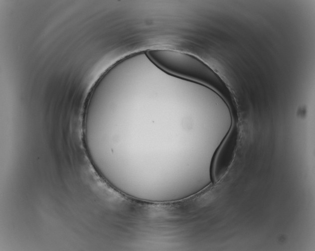 X0000112150904200908281337