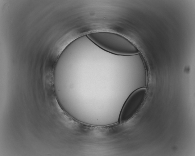 X0000112150905200908281337