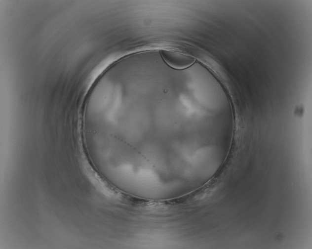X0000112150907200908281337