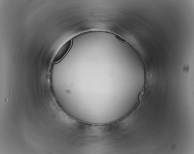 X0000112150908200908281337