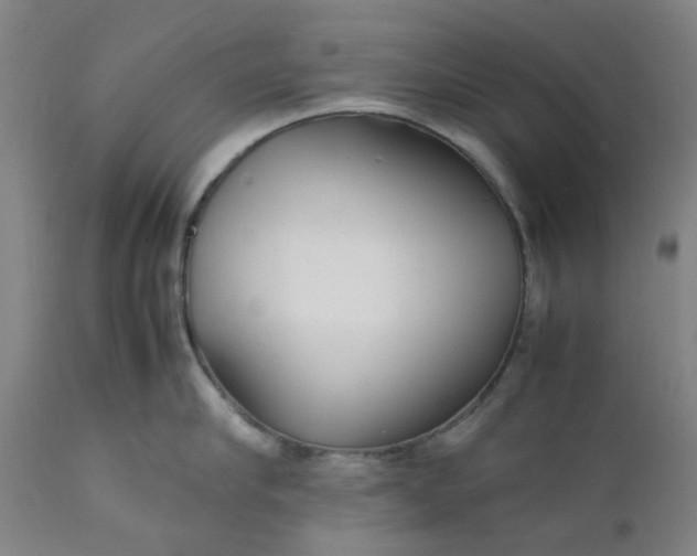 X0000112150910200908281337