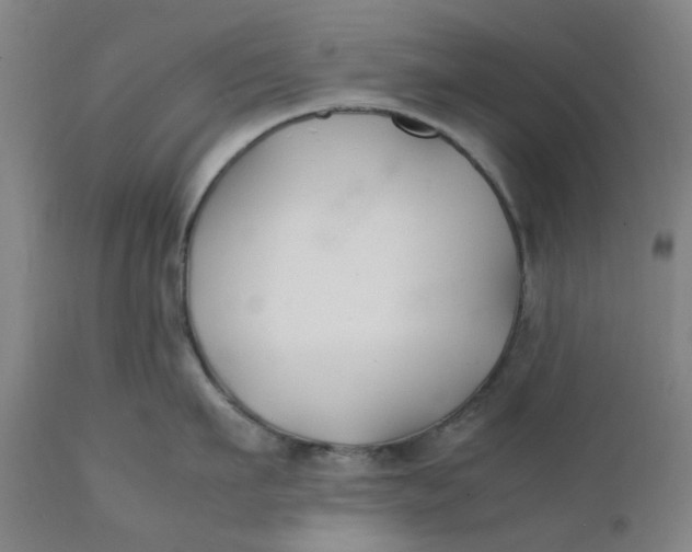 X0000112150911200908281337