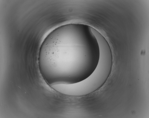 X0000112150912200908281337
