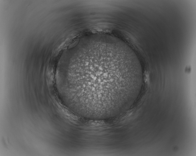 X0000112150915200908281336